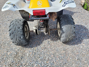 Polaris Trail Blazer