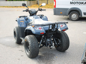 Kawasaki Brute Force