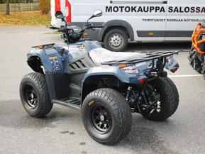 Kawasaki Brute Force