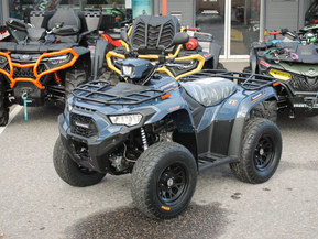 Kawasaki Brute Force