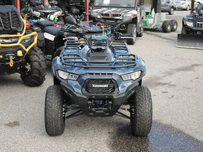Kawasaki Brute Force