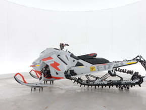 Ski-Doo Freeride