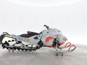 Ski-Doo Freeride