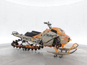 Ski-Doo Freeride