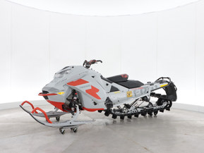 Ski-Doo Freeride