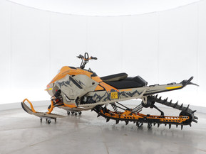 Ski-Doo Freeride