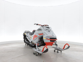 Ski-Doo Freeride