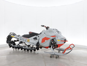 Ski-Doo Freeride