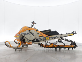 Ski-Doo Freeride
