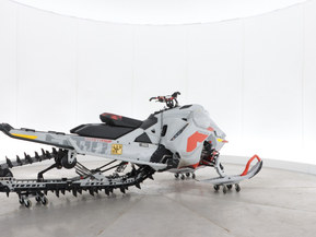 Ski-Doo Freeride