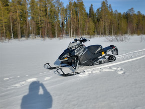 Arctic Cat XF