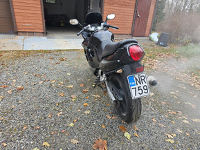 Suzuki GSX