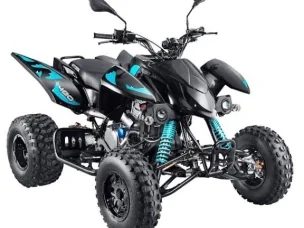 Access Motor Enduro