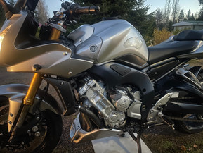 Yamaha FZ1-S
