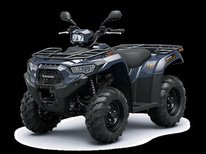 Kawasaki Brute Force