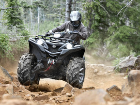 Yamaha Grizzly