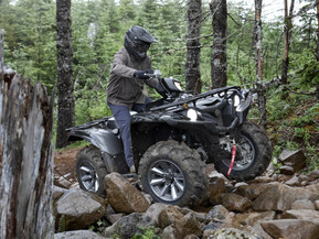 Yamaha Grizzly