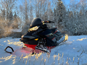 Ski-Doo Renegade