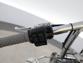 Harley-Davidson Softail