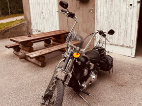 Harley-Davidson Softail