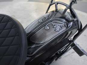 Harley-Davidson Softail