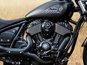 Indian Chief