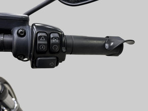 Harley-Davidson Softail