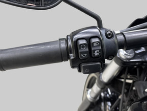 Harley-Davidson Softail