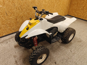 Polaris Trail Blazer