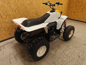 Polaris Trail Blazer