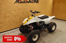 Polaris Trail Blazer