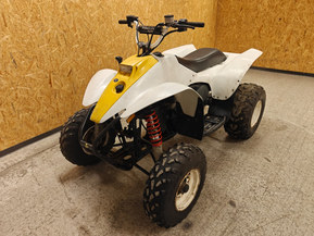 Polaris Trail Blazer