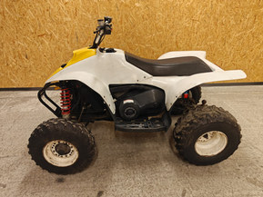 Polaris Trail Blazer