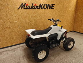 Polaris Trail Blazer