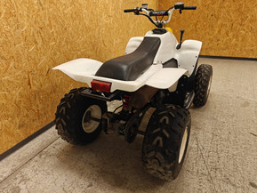 Polaris Trail Blazer