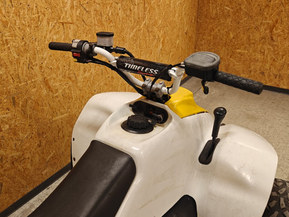 Polaris Trail Blazer