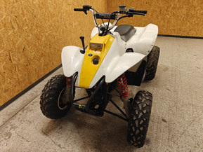 Polaris Trail Blazer