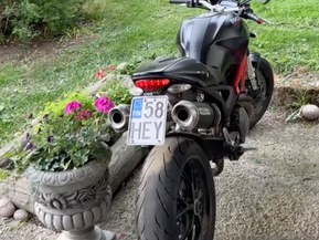 Ducati Monster
