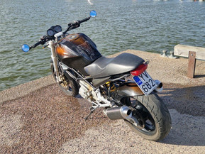 Ducati Monster