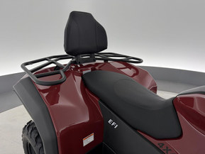 Trapper 450L T3b EPS Guardian