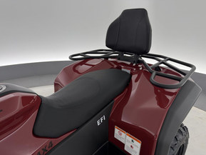 Trapper 450L T3b EPS Guardian