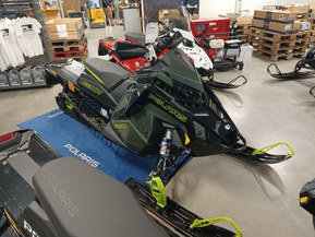 Polaris SwitchBack