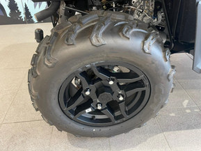 Polaris Sportsman