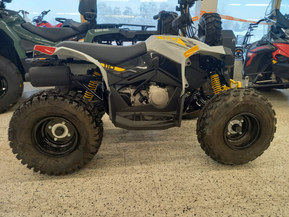 Can-Am renegade