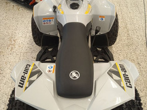 Can-Am renegade