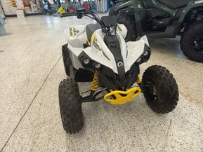 Can-Am renegade