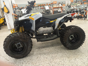 Can-Am renegade