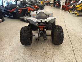 Can-Am renegade