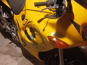 Suzuki GSX