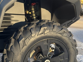 Trapper 750L T3b EPS Guardian